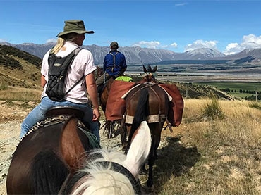 Peel Forest Horse Trekking